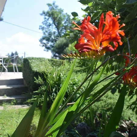 Apartmán Przekop - *