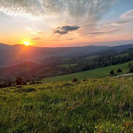 Przekop - Apartament *